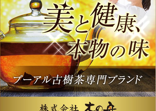 2022新商品 【高級中国茶】木の舟プーアル茶10年物 - 茶